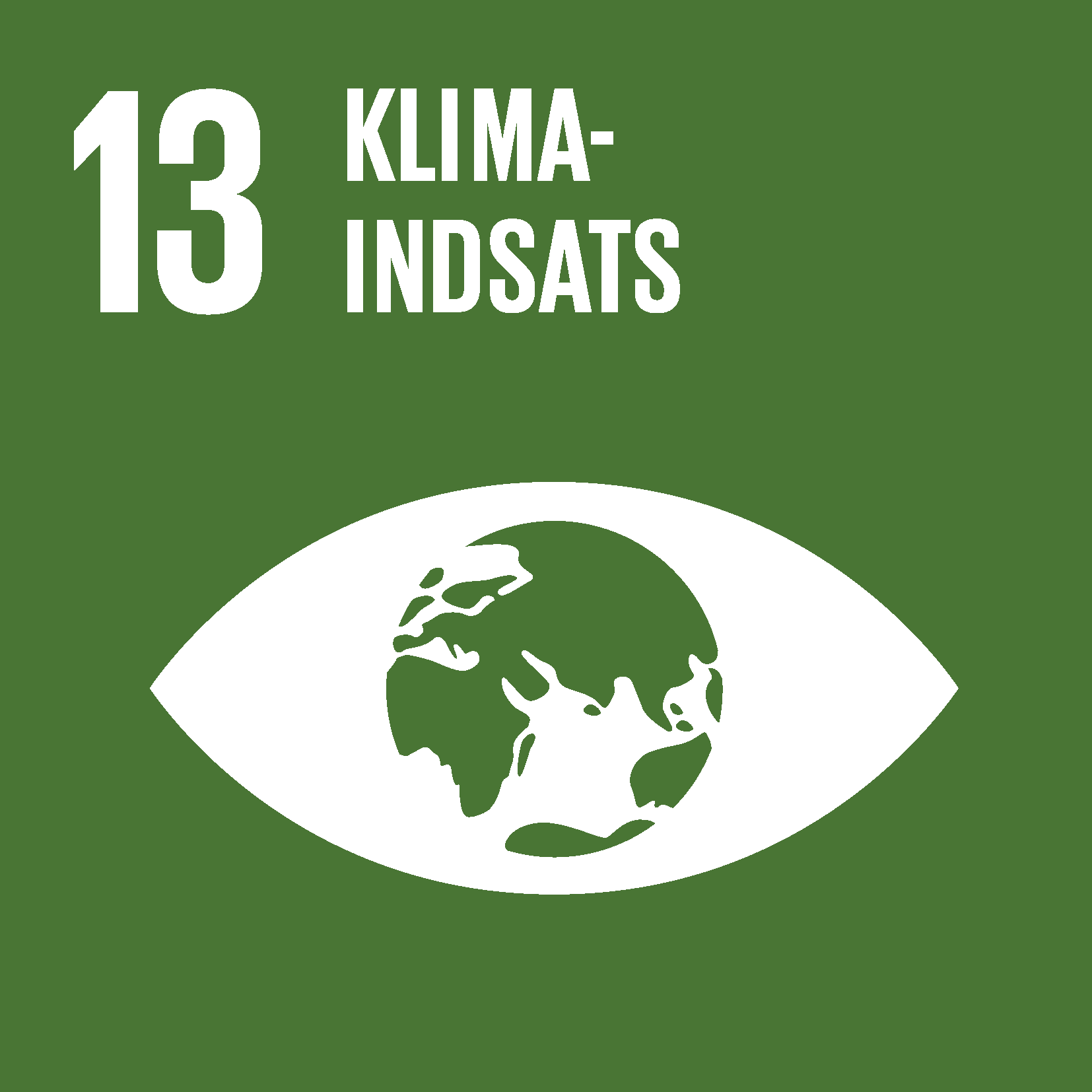 FN's Verdensmål nr. 13 – klimaindsats